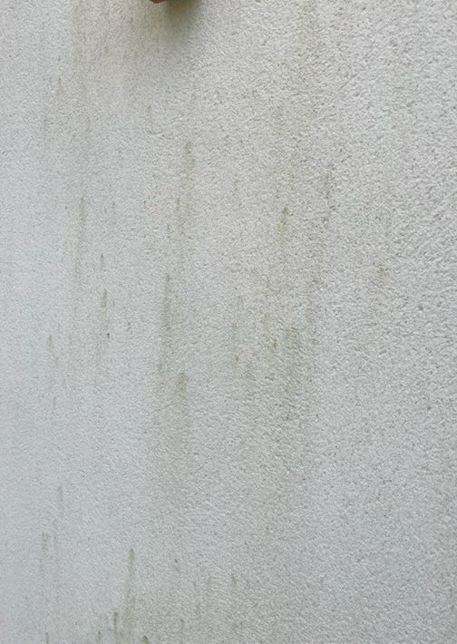 Post LinkedIn - Quentin Pichon - Traces vertes sur l'enduit