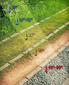 Confort d&rsquo;été – les matériaux et le végétal