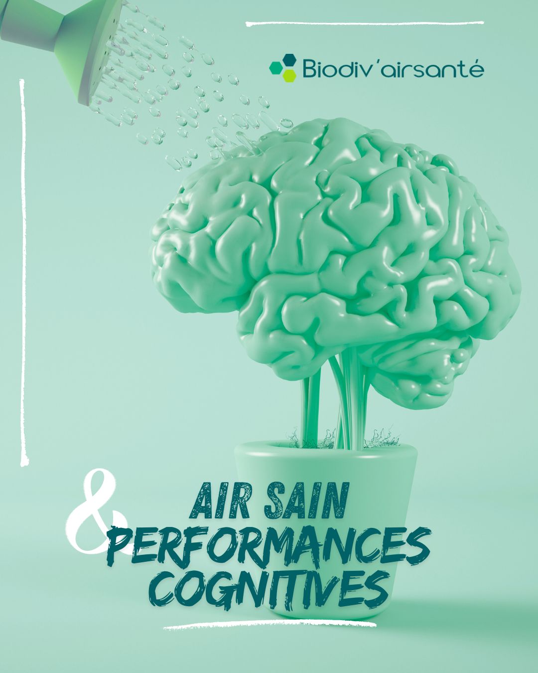 Illustration : Bruno TUDAL, QAI et performances cognitives